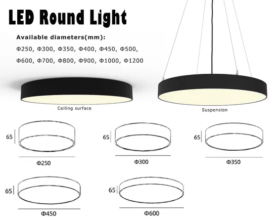 Surface Mounted Round LED Ceiling Lamp Black/White/Silver Housing Colors 