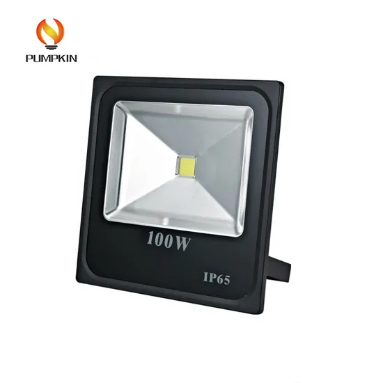 Quality Assurance IC Driver Low 100W LED Flood Light 