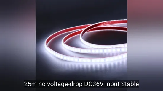 Durable 25m LED Strip Light with No Voltage Drop Technology 